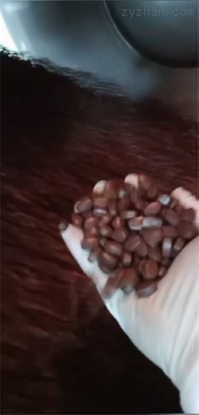 咖啡糖果包衣機(jī)