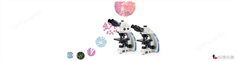 SOPTOP EX31系列生物顯微鏡