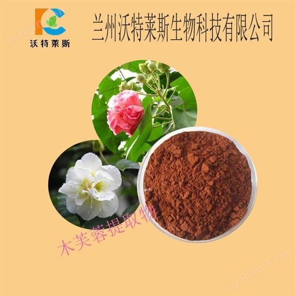 芙蓉花叶提取物10:1 水货图片