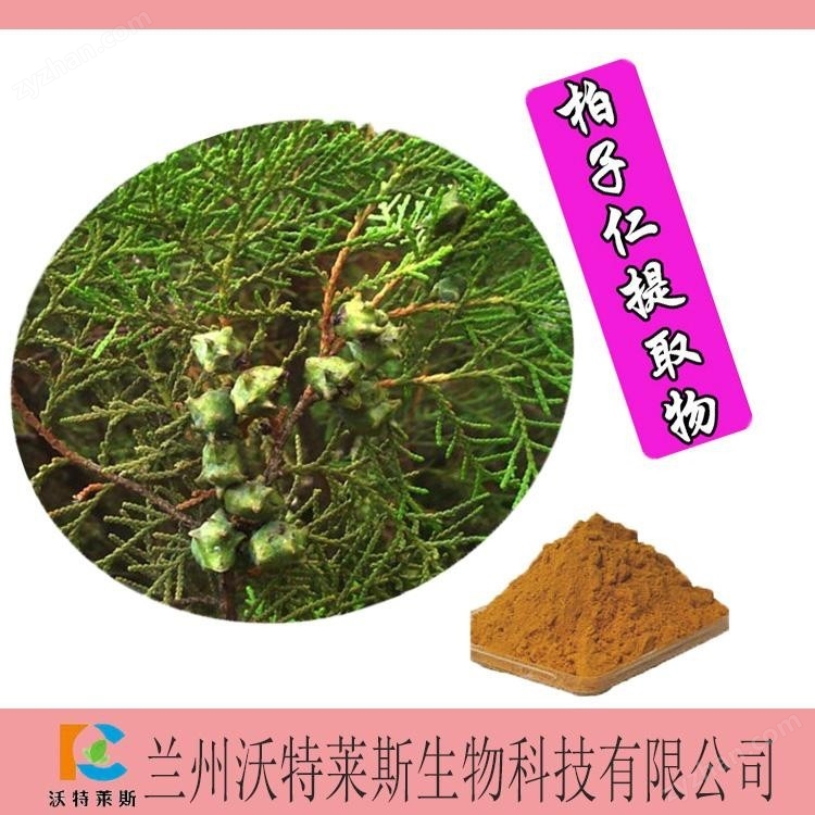 柏子仁提取物10:1 柏子仁原粉 蘭州沃特萊斯生物