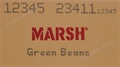 Marsh PatrionPlus高解像噴碼機