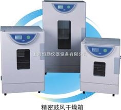 精密鼓風(fēng)干燥箱BPG-9240A